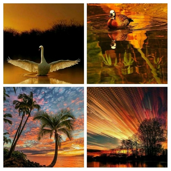 CelticBrooch/Pendant - Deep Red Cabachon Stones - Picture 4 of 7